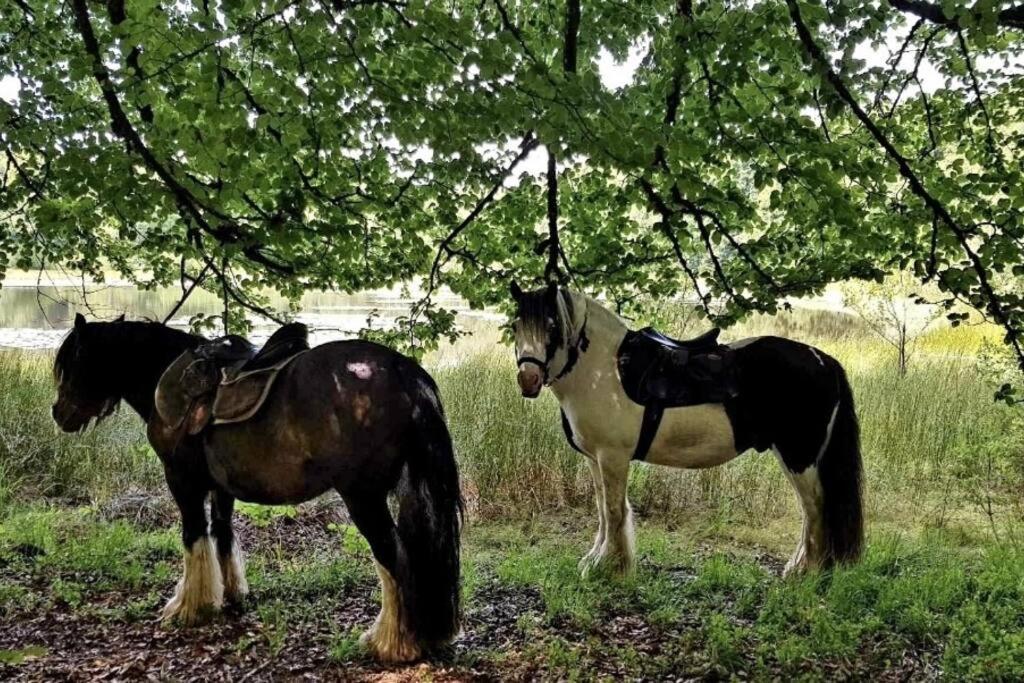 Les Vergers D'Epona "Fremifontaine Vosges" Exteriör bild
